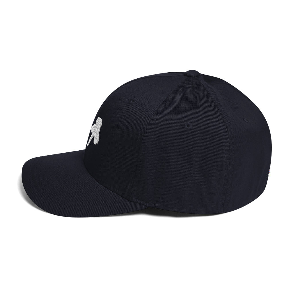 Riiink Legend 99 – Structured Twill Cap